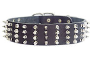 2 inch Leather Dog Collar with STUDS and SPIKES for working dogs 2 inch Leather Dog Collar with STUDS and SPIKES for working dogs