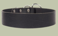 2 inch wide All Weather Collar for working dogs-Leather Collar 2 inch wide All Weather Collar for working dogs-Leather Collar