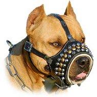 Genuine Leather Open-Nose Padded Dog Muzzle Genuine Leather Open-Nose Padded Dog Muzzle