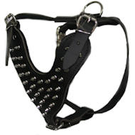 Leather Spiked Dog Harness -Leather harness with spikes Leather Spiked Dog Harness -Leather harness with spikes