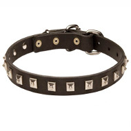 Elegant Leather Dog Collar "Caterpillar" Design Elegant Leather Dog Collar "Caterpillar" Design