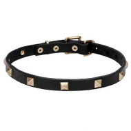 "Modern Style" Leather Dog Collar with Brass Studs "Modern Style" Leather Dog Collar with Brass Studs