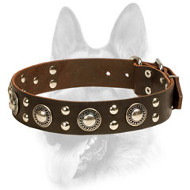 "Rock N Roll" Style Leather Dog Collar "Rock N Roll" Style Leather Dog Collar
