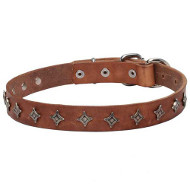 Delectable 'Interstellar' Narrow Leather Dog Collar Delectable 'Interstellar' Narrow Leather Dog Collar