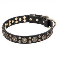 "Boho Style" Leather Dog Collar with Massive Brass Decorations "Boho Style" Leather Dog Collar with Massive Brass Decorations