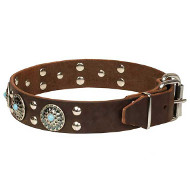'Ace Style' Leather Dog Collar with Fancy Decor 'Ace Style' Leather Dog Collar with Fancy Decor