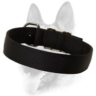 2 Ply Nylon Safe Dog Training Collar 2 Ply Nylon Safe Dog Training Collar