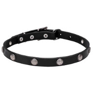 "Antique Flowers" Leather Dog Collar with Chrome Plated Round Studs "Antique Flowers" Leather Dog Collar with Chrome Plated Round Studs