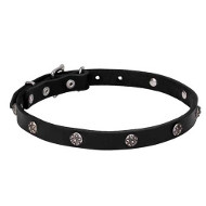 "Sparkling Beauty" Leather Dog Collar with Chrome Plated Engraved Studs "Sparkling Beauty" Leather Dog Collar with Chrome Plated Engraved Studs