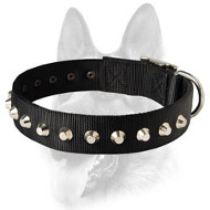 Gorgeous Wide Nylon Dog Collar With Nickle Pyramids Gorgeous Wide Nylon Dog Collar With Nickle Pyramids