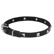 Delightful Leather Dog Collar with Chrome Plated Pyramids Delightful Leather Dog Collar with Chrome Plated Pyramids