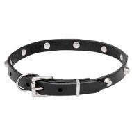 Leather Dog Collar with Chrome Plated Pyramids Leather Dog Collar with Chrome Plated Pyramids