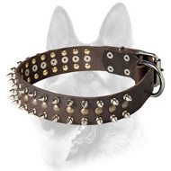 Splendid Leather Dog Collar Decorated with Spikes and Studs Splendid Leather Dog Collar Decorated with Spikes and Studs