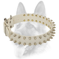Beautiful White Dog Spiked Leather Collar Beautiful White Dog Spiked Leather Collar
