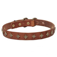 Narrow leather dog collar with old-like bronze decoration Narrow leather dog collar with old-like bronze decoration