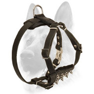 Comfortable and Safe Leather Spiked Harness for Puppies Comfortable and Safe Leather Spiked Harness for Puppies