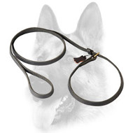 Splendid Leather Choke Collar Combo for Dog Training Splendid Leather Choke Collar Combo for Dog Training