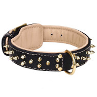 Skillfully Decorated Training Leather Dog Collar for All Dog Breeds Skillfully Decorated Training Leather Dog Collar for All Dog Breeds