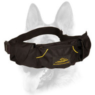 Convenient Dog Training Pouch for Treats and Toys Convenient Dog Training Pouch for Treats and Toys