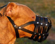 Pit Bull Ventilation leather dog muzzle- large leather muzzle Pit Bull Ventilation leather dog muzzle- large leather muzzle