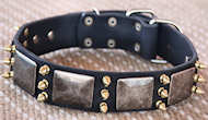Best Spiked Leather Dog Collar - massive plates+ brass3 spike Best Spiked Leather Dog Collar - massive plates+ brass3 spike