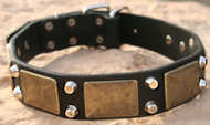 dog collar dog collar