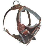 Medium dog Harness for Dog -Leather Harness Medium dog Harness for Dog -Leather Harness