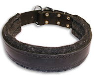 Schutzhund Leather dog collar padded with thick felt