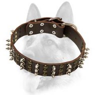 Designer Nylon Dog Collar With Spikes and Studs for Schutzhund Training Designer Nylon Dog Collar With Spikes and Studs for Schutzhund Training
