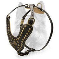 Royal Leather Padded Dog Harness -Design Studded Comfy Harness Royal Leather Padded Dog Harness -Design Studded Comfy Harness