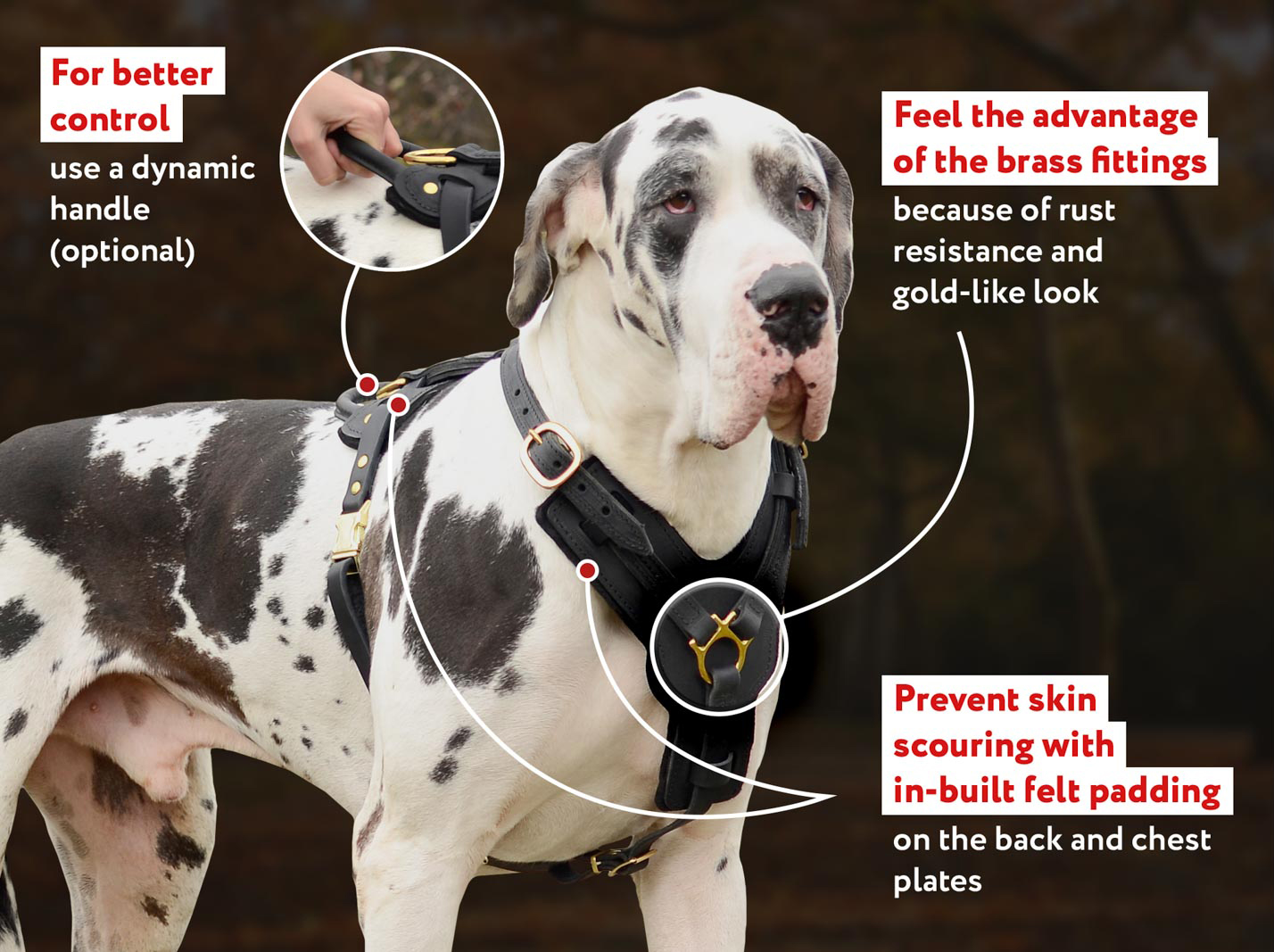 Leather Dog Functional Handcrafted Padded Schutzhund Harness Leather Dog Functional Handcrafted Padded Schutzhund Harness