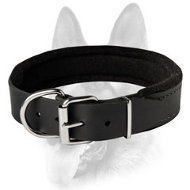 Schutzhund Padded Leather Dog Collar with Thick Felt for All Dog Breeds Schutzhund Padded Leather Dog Collar with Thick Felt for All Dog Breeds