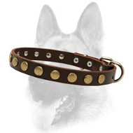 Ornamented Leather Special Dog Collar With Brass Covered Circles Ornamented Leather Special Dog Collar With Brass Covered Circles