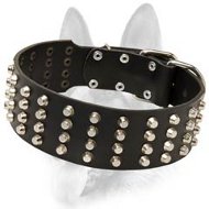Custom Made Schutzhund Dog Breeds Training Collar Custom Made Schutzhund Dog Breeds Training Collar