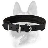 Best Canine Training Collar - Padded Leather Collar for All Dog Breeds 1 inch (2.5cm) width Best Canine Training Collar - Padded Leather Collar for All Dog Breeds 1 inch (2.5cm) width