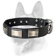 Extremely Fashionable Training Leather Dog Collar for Your Schutzhund Breed Extremely Fashionable Training Leather Dog Collar for Your Schutzhund Breed