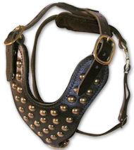 Two-Ply Latigo Dog Harness with Studs for DOG Two-Ply Latigo Dog Harness with Studs for DOG