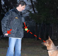 Ultimate Dog Training Vest-Dog trainer Supplies Ultimate Dog Training Vest-Dog trainer Supplies