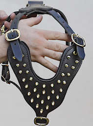 Leather spiked dog harness with brass spikes Leather spiked dog harness with brass spikes