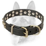 Attractive Stylish Leather Dog Collar for Working Canine Attractive Stylish Leather Dog Collar for Working Canine