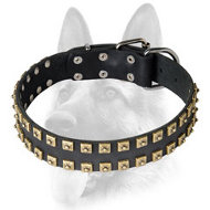 Extra Strong Leather Dog Collar with Fashion Exterior for Schutzhund Training Extra Strong Leather Dog Collar with Fashion Exterior for Schutzhund Training