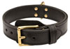 Leather dog collars