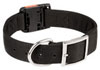 Nylon dog collars