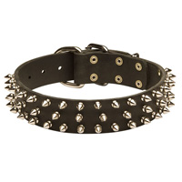Black Spiked Leather Dog Collar