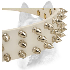 Nickel plated spikes set in three rows