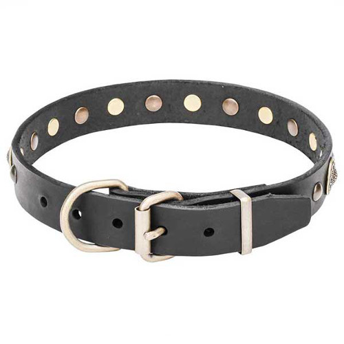 Dog collar with reliable brass fittings