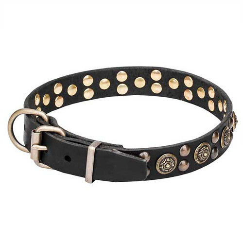 Dog collar with reliable brass hardware