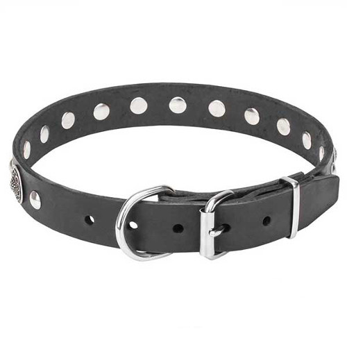 Dependable leather dog collar with reliable fittings
