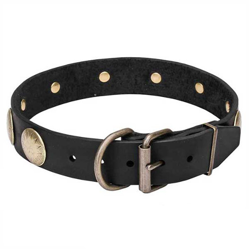 Dog collar with durable brass fittings