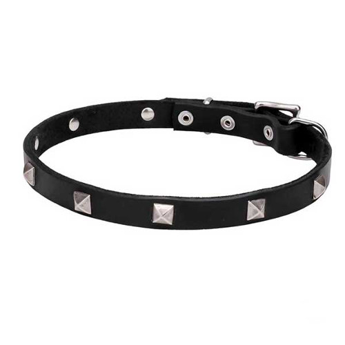 Selected leather dog collar